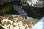 DSC_6864.JPG